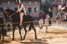 Palio Straordinario: la fotogallery della seconda prova